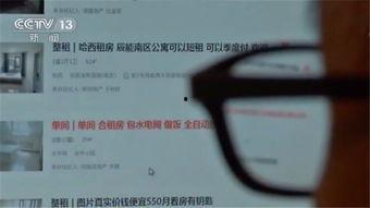 哈尔滨租房爆料信息最新,揭秘最新租房陷阱与攻略